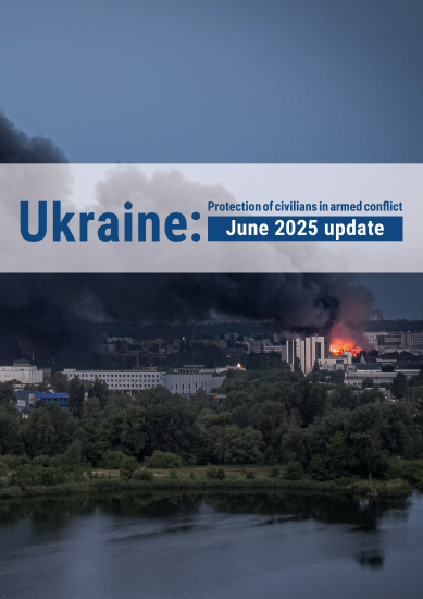 cover of update on the protection of civilians